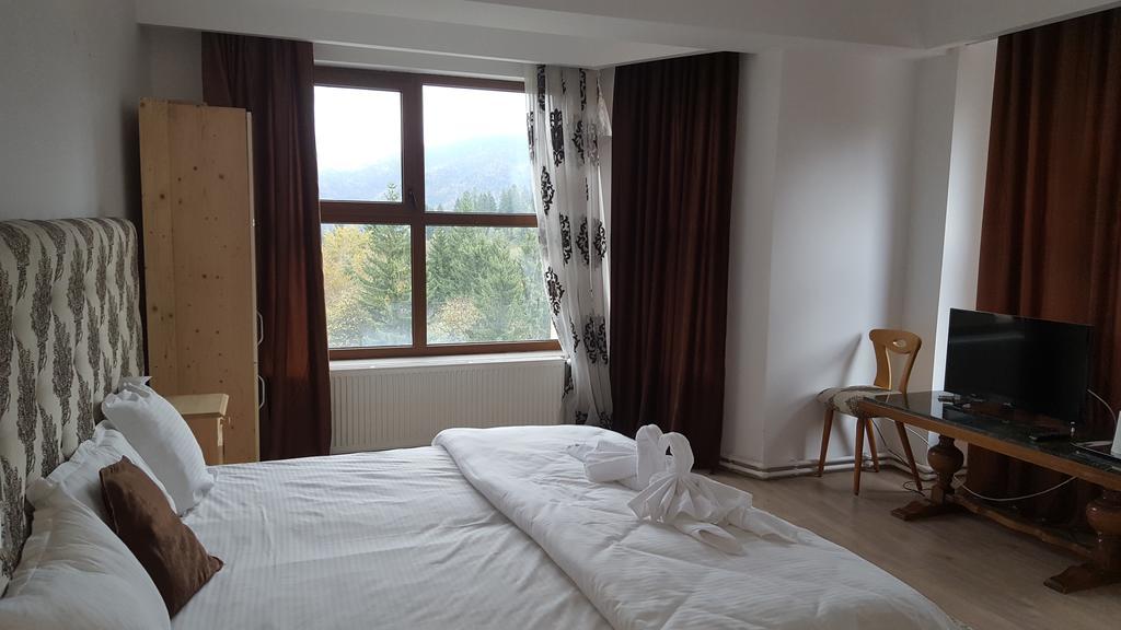 Guest house Pensiunea Alexandra Predeal